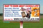 Cuckold Place goes public.