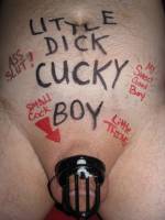 Lil dick cucky boy