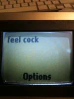 feel cock