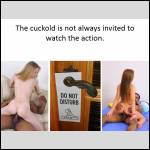 The Life Of A Cuckold21