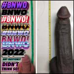 BNWO51