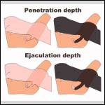 27 - Ejaculation Depth