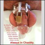 Chastity CuckoldCap154